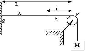 [Figure for Question 5]